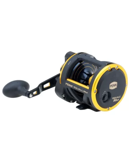 Moulinet De Pêche Penn International 50T - Levier Complet, Roulements