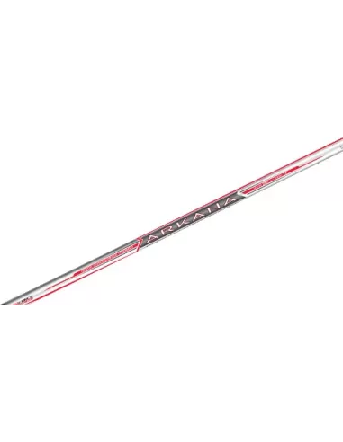 Colmic Arkana Bolognese Canna da Pesca 25 Grammi