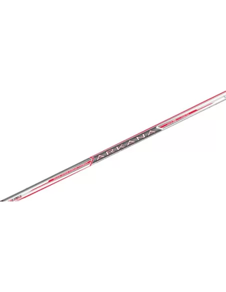 Colmic Arkana Bolognese Canna da Pesca 25 Grammi