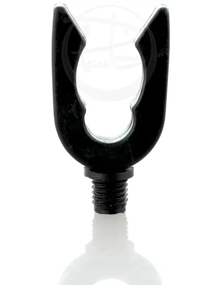 Pôle postérieur ECO
