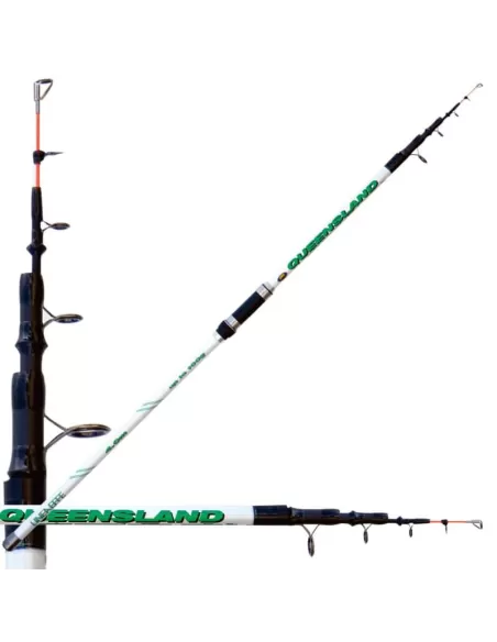 De Lineaeffe Townsville canne Action 100 gr au Beach