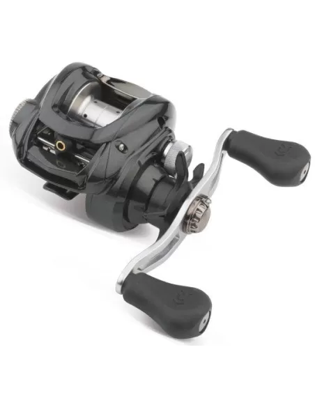 Laguna de Daiwa Spinning Reel Fishing moulinets Spinning