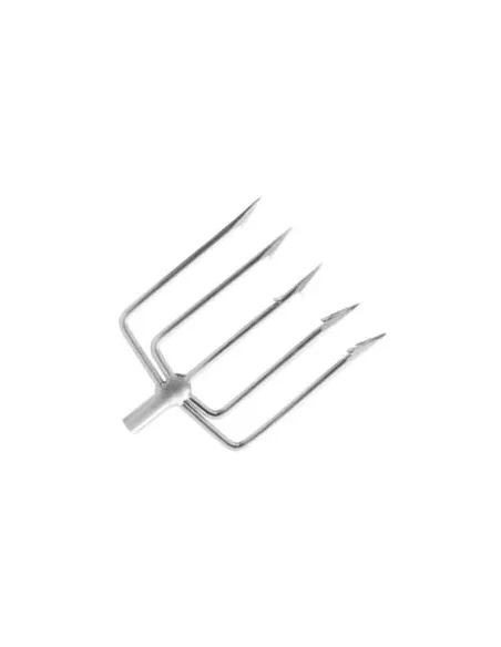 Harpon 5 conseils de pêche inox
