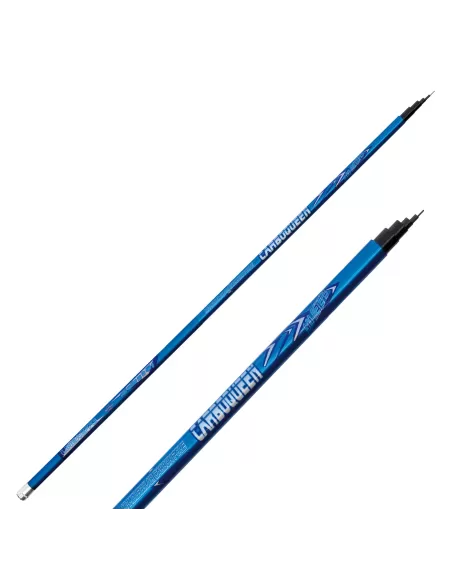 Lineaeffe Carboqueen Pole Canne à pêche Bolognese Carbone