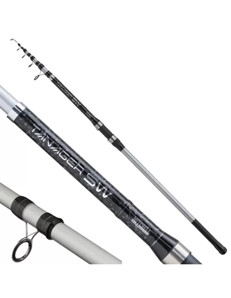 Mitchell Tanager SW Tele Surf Fishing Rods Surfcasting Rod Petite empreinte