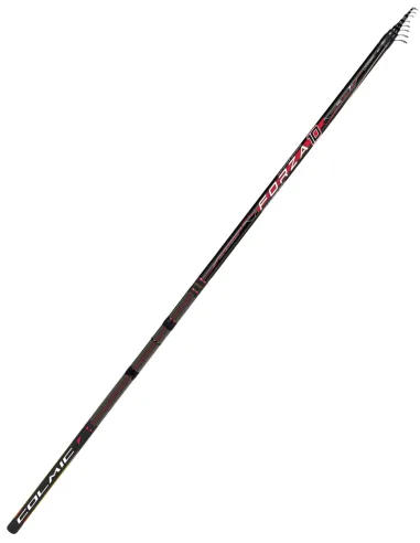 Canne à pêche bolognaise Colmic Forza 10 80 g