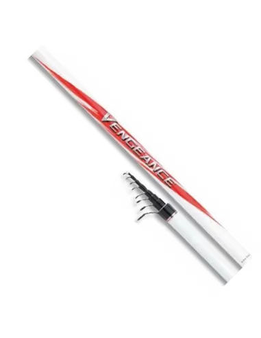 Shimano Canna Da Pesca TEGT4 Vengeance AX
