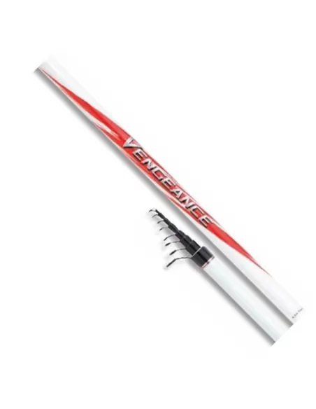 Shimano Canna Da Pesca TEGT4 Vengeance AX