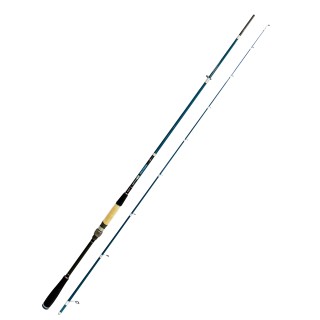 Akami Spinning Blue Fishing Rod Spinning Rings Fuji 2.40 mt 20 50