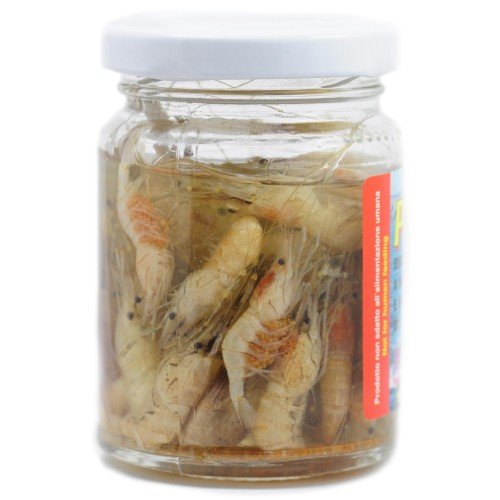 Prochaine appât-crevettes Antiche Pasture