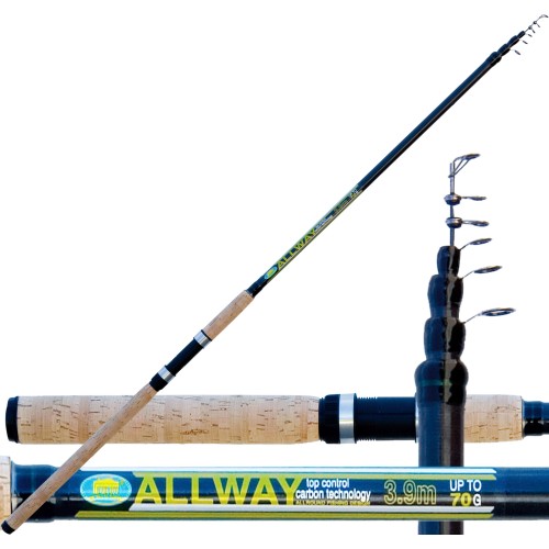 Carbone de tige Allway 70 Gr puissance de pêche Lineaeffe