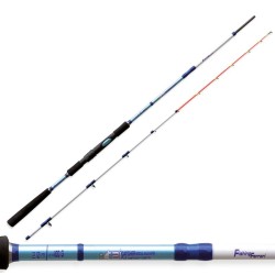 Fishing rod boat Rod Tai 100 Grams Action Special Sparid Catcher
