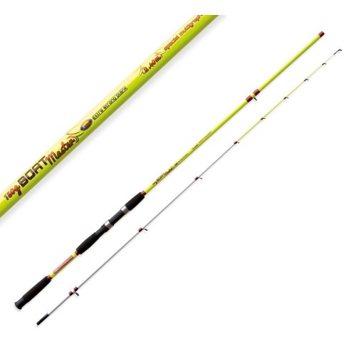 Fishing rod for boat Lineaeffe Boat Master 150 grams Lineaeffe