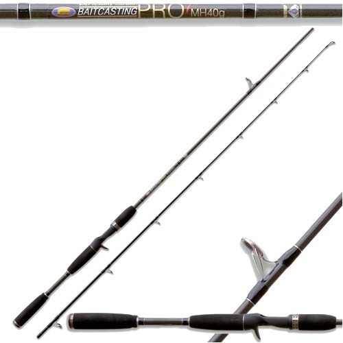Canne à pêche Appât Casting Pro Spinning 60 Gr Lineaeffe