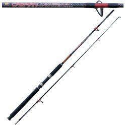 Caspian Action Fishing Rod 100 - 250g