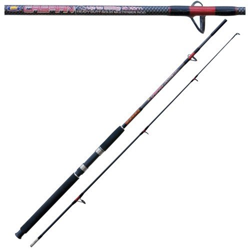 Caspian Action Fishing Rod 100 - 250g Lineaeffe