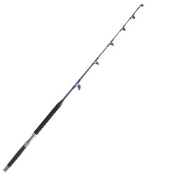 Sugoi Altruria Fishing Rod Big Game 50-80 lb 1,70 mt