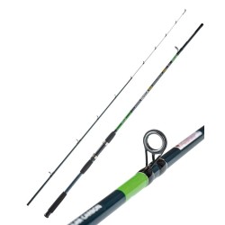 Sele Boat Fishing rod two sections Quick Boat 50-120 gr
