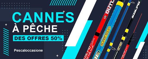 Cannes à pêche