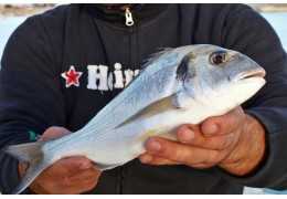Comment pêcher au rebord en mer