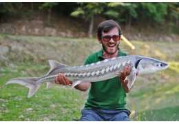 Comment pêcher l'esturgeon dans un étang