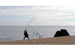 Comment pêcher la brème