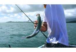 Comment utiliser un dégorgeoir : guide pour décrocher un poisson