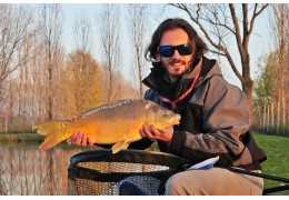 Pêche au feeder : les meilleurs montages, amorces et appâts à utiliser sur le lac