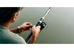 Pêche d'automne : produits pour la pêche des céphalopodes et du maquereau