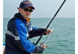 Pêche en mer de l'orphie depuis le bord