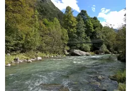 Pêcher dans le Trentin sur la rivière Sarca : les meilleurs conseils pour s'amuser !