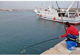 Pêche au mulet avec canne fixe