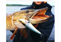 L'Ombrie et la pêche au lancer