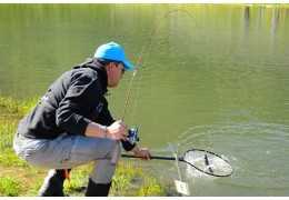 Zone truite : technique et matériel de pêche pour débuter